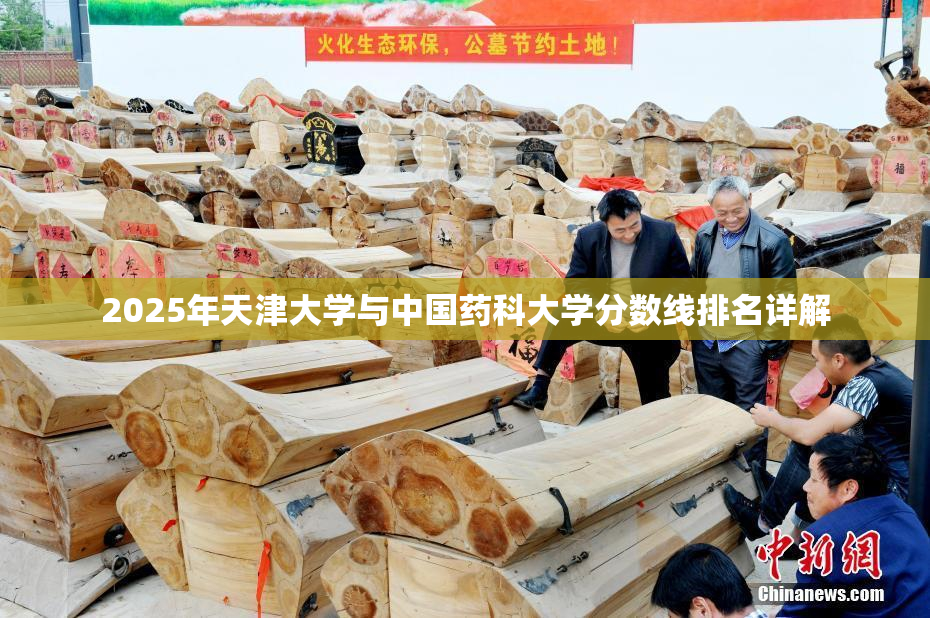 2025年天津大学与中国药科大学分数线排名详解