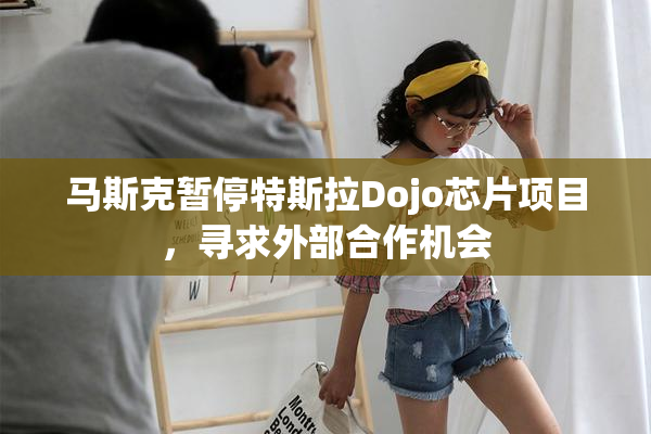 马斯克暂停特斯拉Dojo芯片项目，寻求外部合作机会