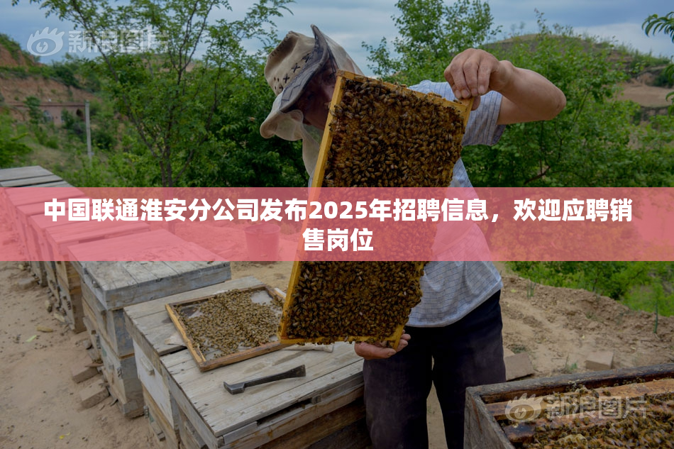 中国联通淮安分公司发布2025年招聘信息，欢迎应聘销售岗位