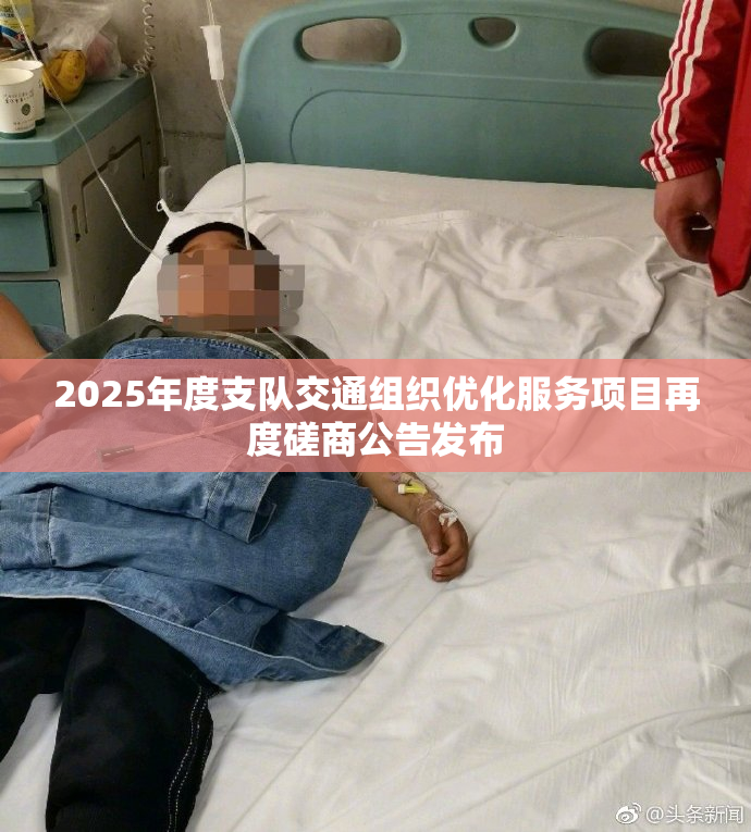 2025年度支队交通组织优化服务项目再度磋商公告发布