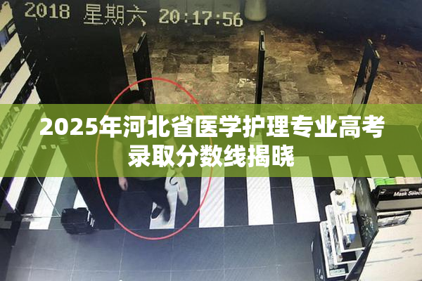 2025年河北省医学护理专业高考录取分数线揭晓