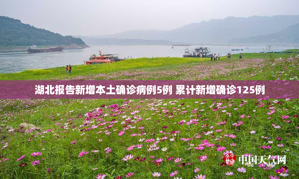 湖北报告新增本土确诊病例5例 累计新增确诊125例