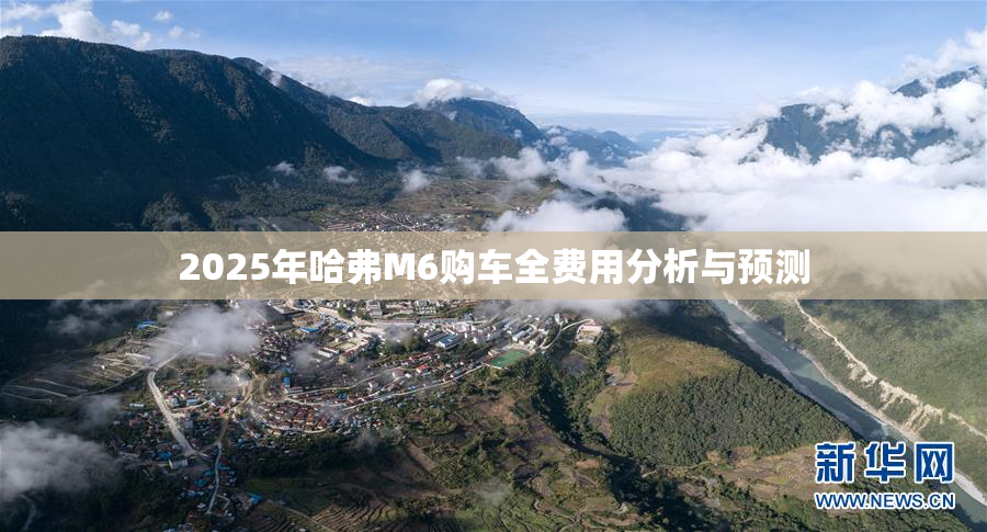 2025年哈弗M6购车全费用分析与预测