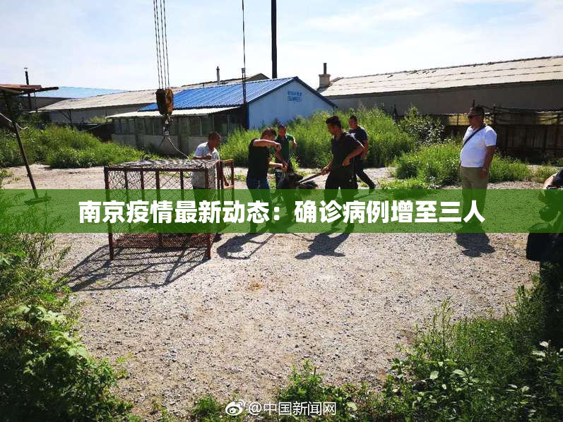 南京疫情最新动态：确诊病例增至三人