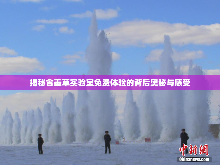 揭秘含羞草实验室免费体验的背后奥秘与感受