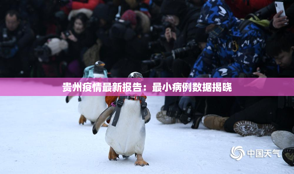 贵州疫情最新报告：最小病例数据揭晓