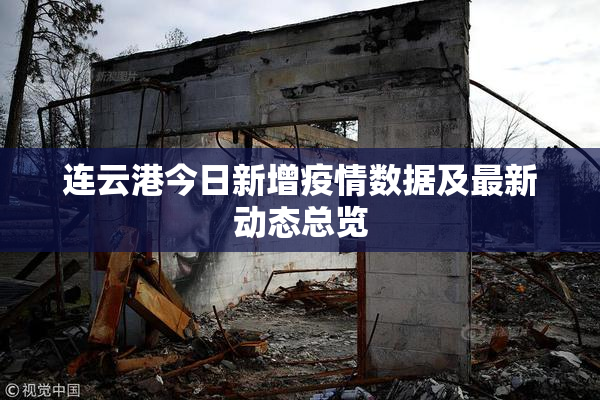 连云港今日新增疫情数据及最新动态总览