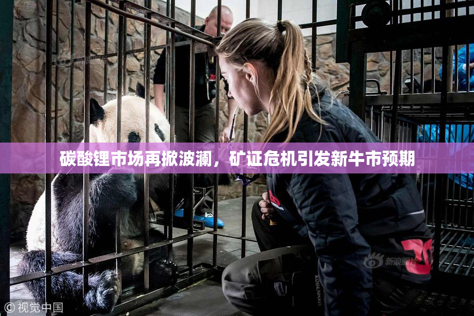 碳酸锂市场再掀波澜，矿证危机引发新牛市预期