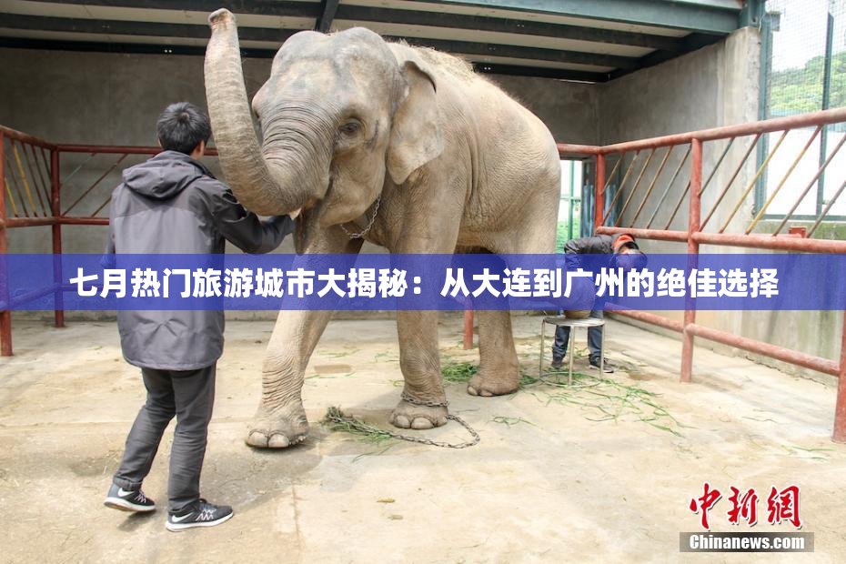 七月热门旅游城市大揭秘：从大连到广州的绝佳选择