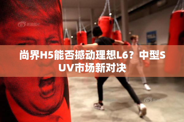 尚界H5能否撼动理想L6？中型SUV市场新对决