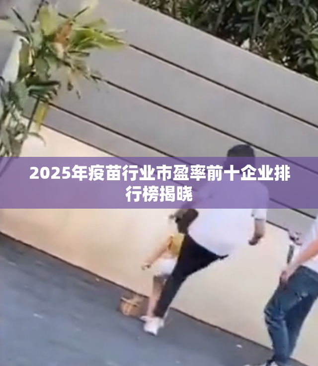 2025年疫苗行业市盈率前十企业排行榜揭晓
