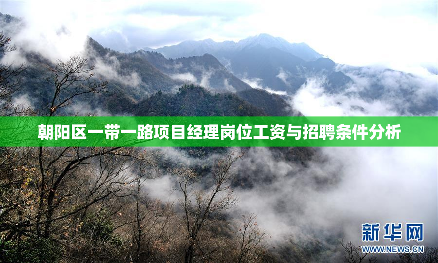 朝阳区一带一路项目经理岗位工资与招聘条件分析