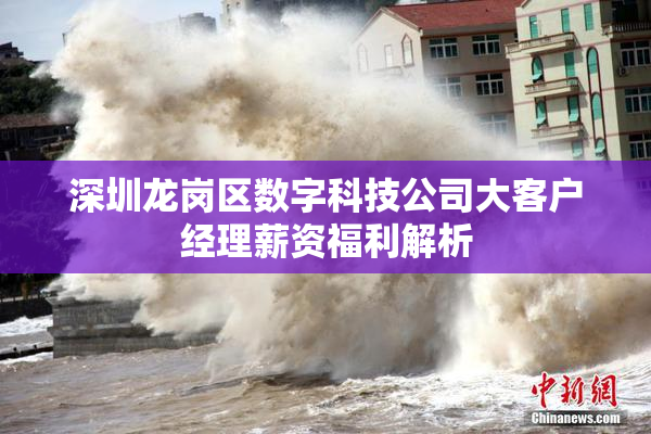 深圳龙岗区数字科技公司大客户经理薪资福利解析