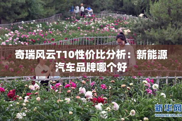 奇瑞风云T10性价比分析：新能源汽车品牌哪个好