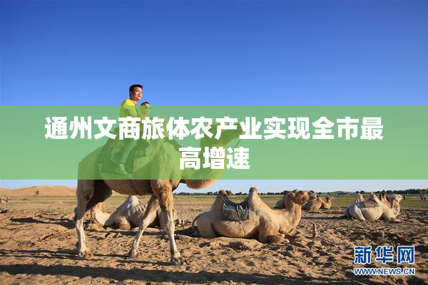 通州文商旅体农产业实现全市最高增速