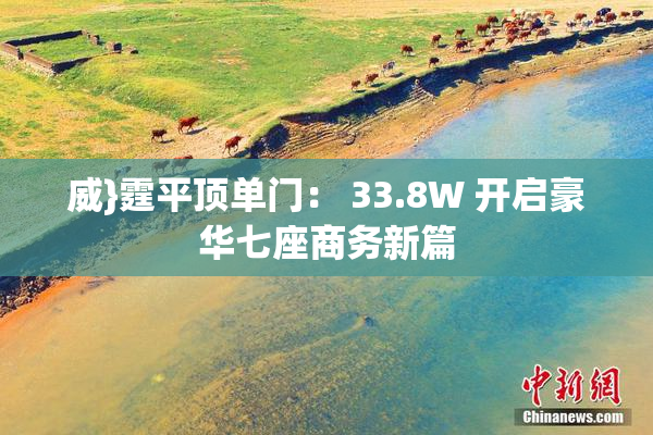 威}霆平顶单门： 33.8W 开启豪华七座商务新篇
