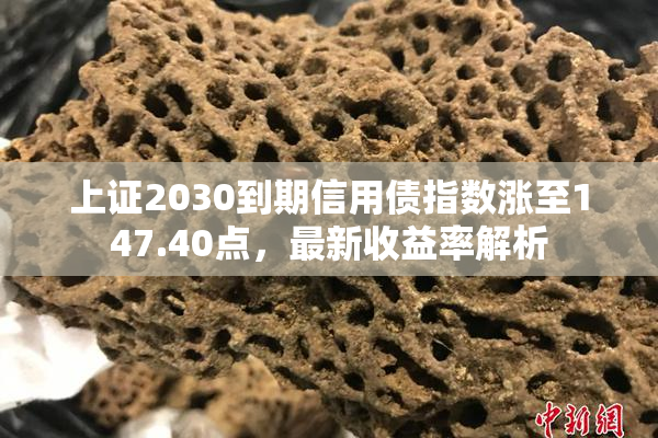上证2030到期信用债指数涨至147.40点，最新收益率解析