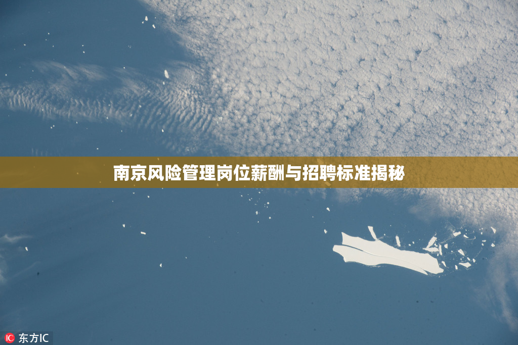 南京风险管理岗位薪酬与招聘标准揭秘