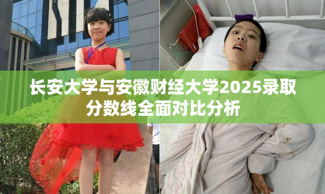 长安大学与安徽财经大学2025录取分数线全面对比分析