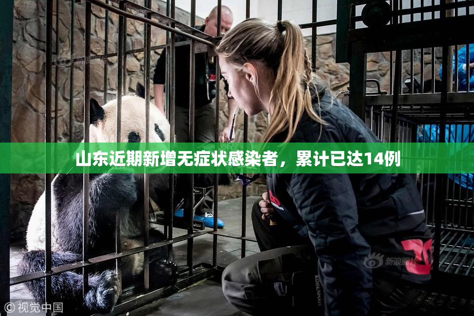 山东近期新增无症状感染者，累计已达14例