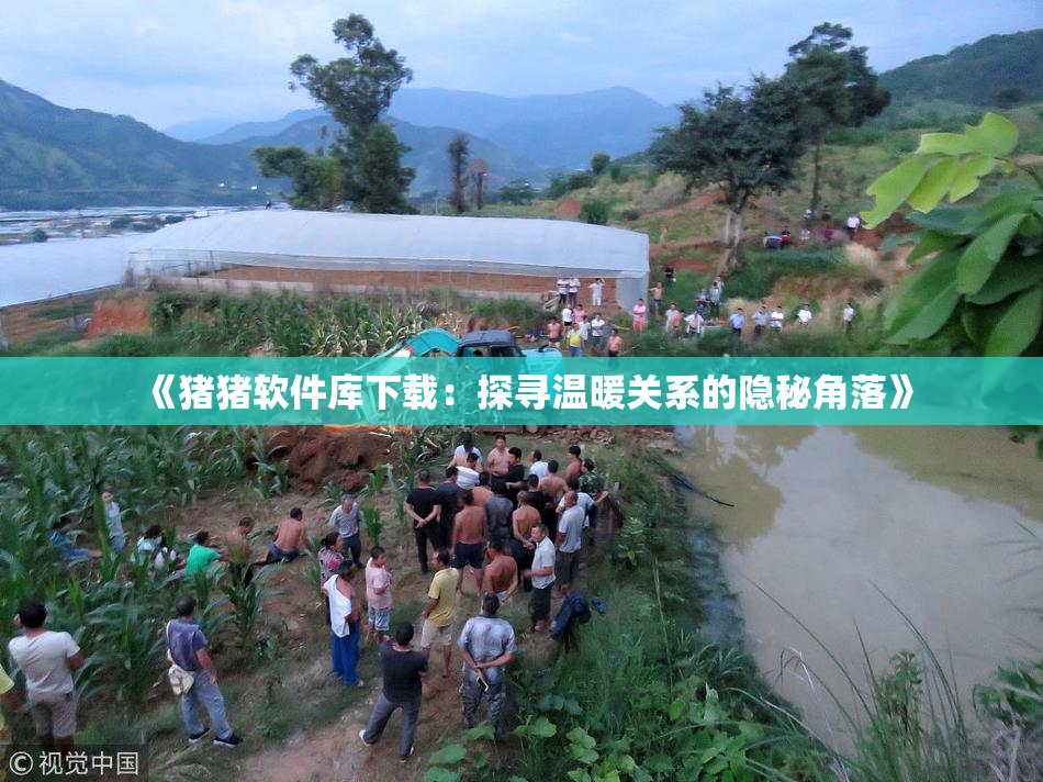 《猪猪软件库下载：探寻温暖关系的隐秘角落》
