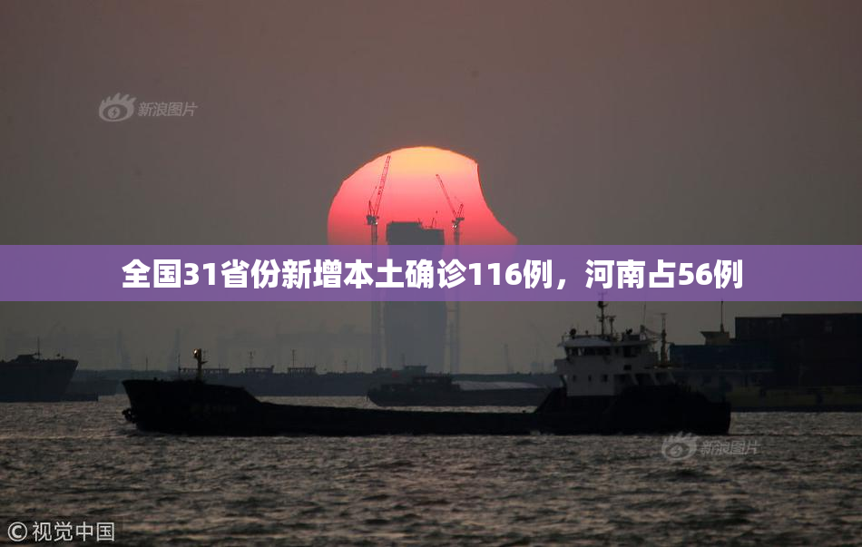 全国31省份新增本土确诊116例，河南占56例