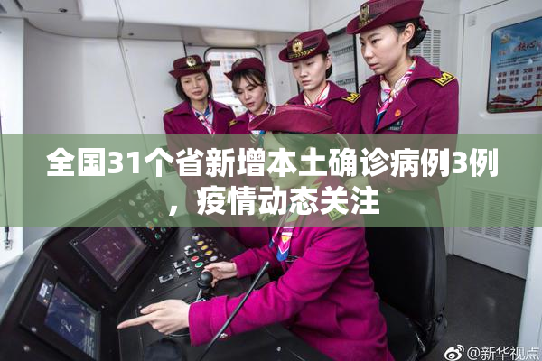 全国31个省新增本土确诊病例3例，疫情动态关注