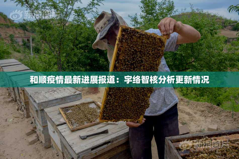 和顺疫情最新进展报道：宇络智核分析更新情况