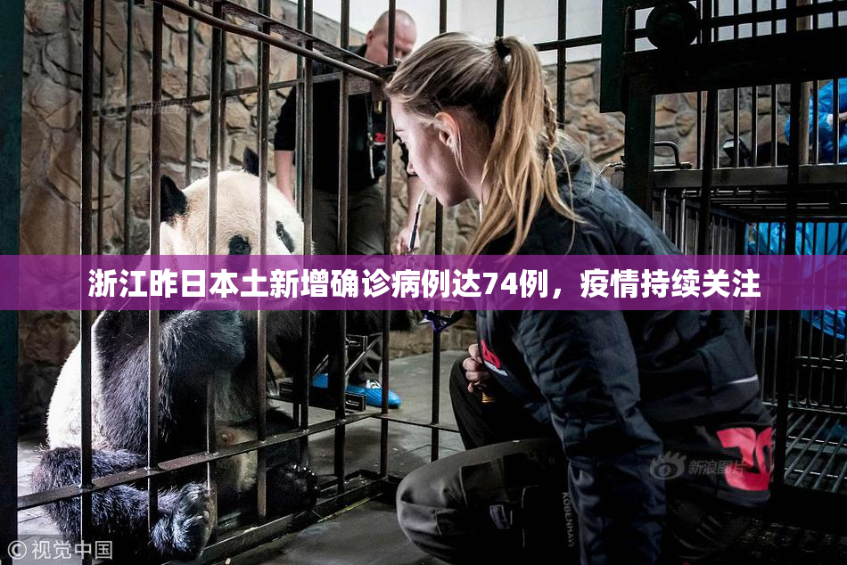 浙江昨日本土新增确诊病例达74例，疫情持续关注