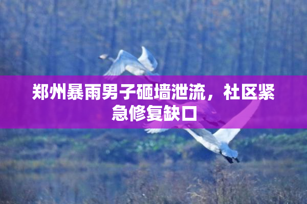 郑州暴雨男子砸墙泄流，社区紧急修复缺口