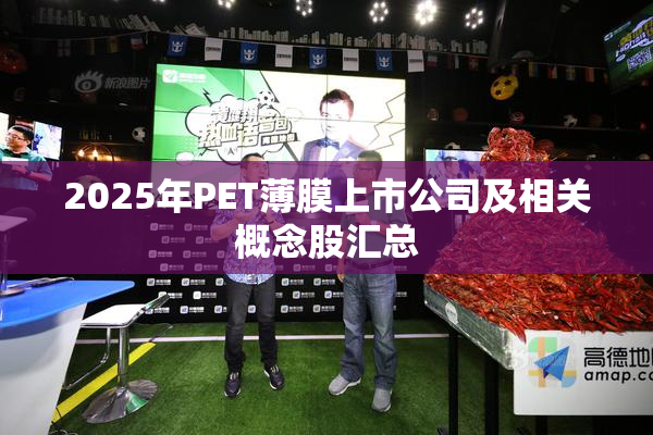 2025年PET薄膜上市公司及相关概念股汇总