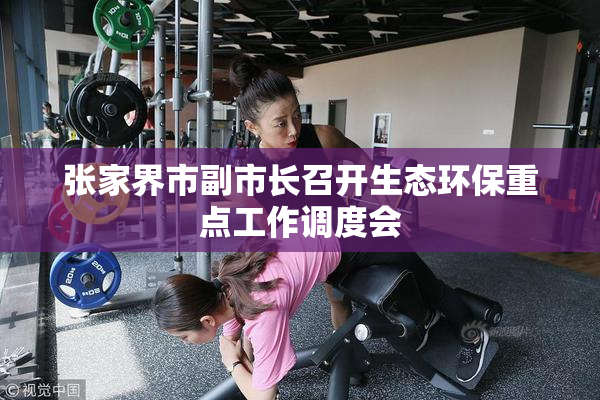 张家界市副市长召开生态环保重点工作调度会