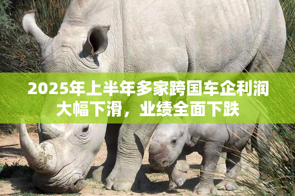 2025年上半年多家跨国车企利润大幅下滑，业绩全面下跌