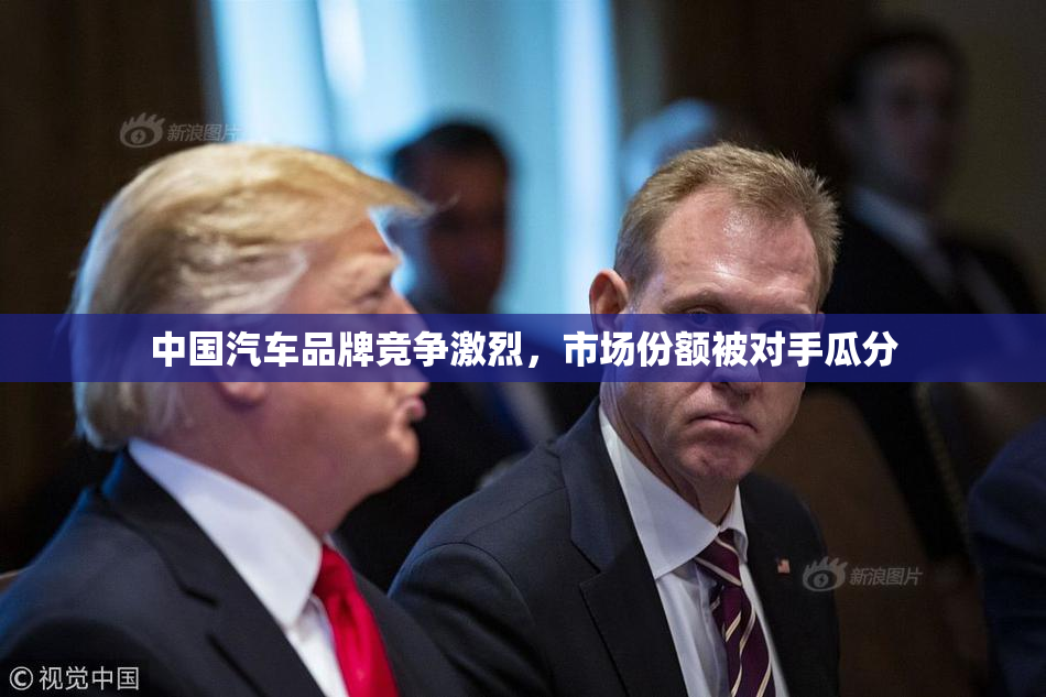 中国汽车品牌竞争激烈，市场份额被对手瓜分