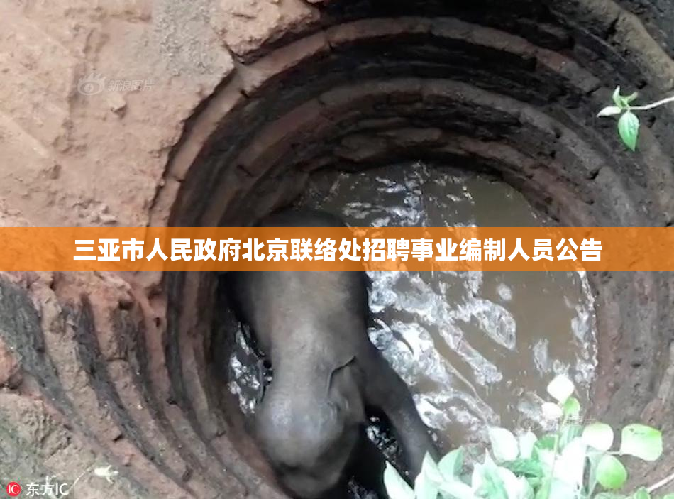 三亚市人民政府北京联络处招聘事业编制人员公告