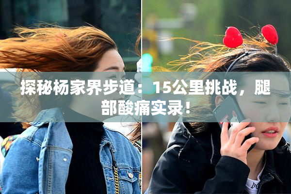探秘杨家界步道：15公里挑战，腿部酸痛实录！