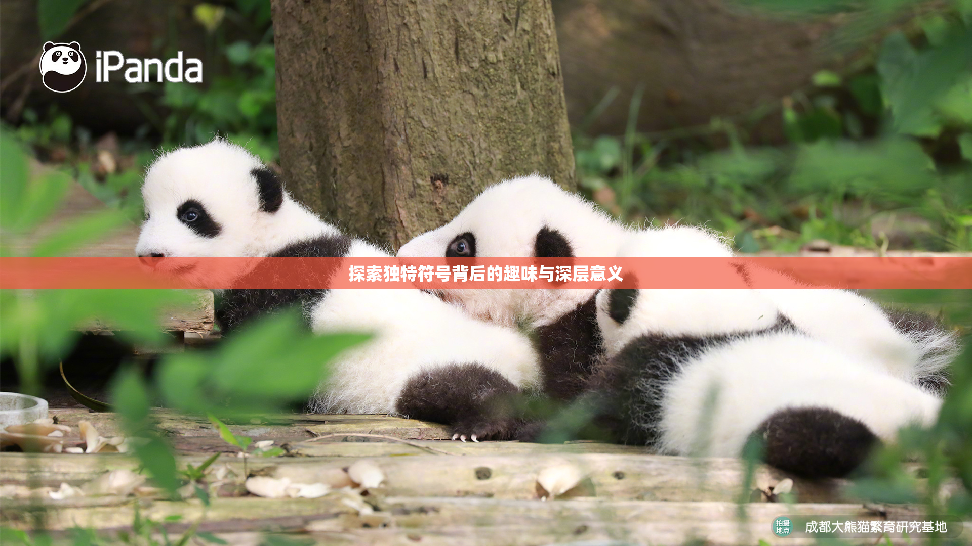 探索独特符号背后的趣味与深层意义
