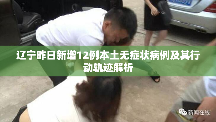 辽宁昨日新增12例本土无症状病例及其行动轨迹解析