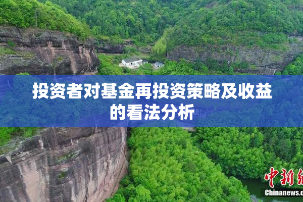 投资者对基金再投资策略及收益的看法分析