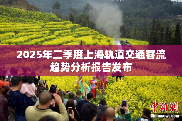 2025年二季度上海轨道交通客流趋势分析报告发布