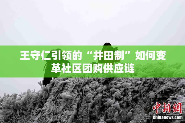 王守仁引领的“井田制”如何变革社区团购供应链