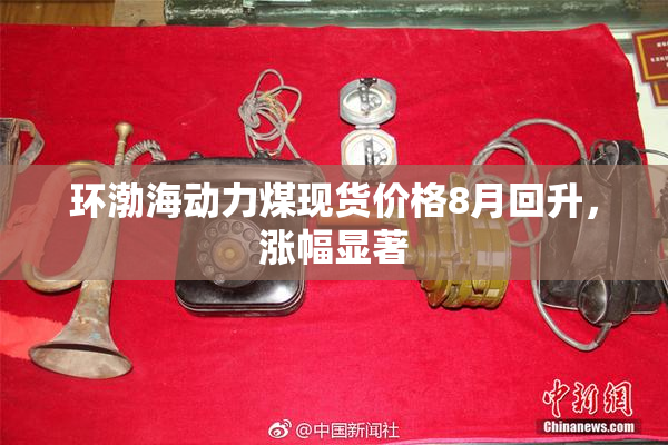 环渤海动力煤现货价格8月回升，涨幅显著