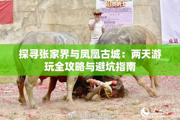 探寻张家界与凤凰古城：两天游玩全攻略与避坑指南