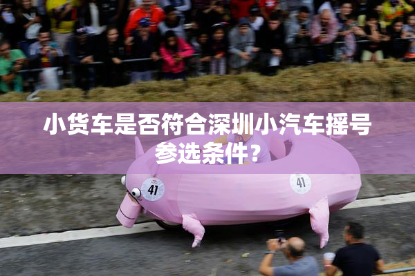 小货车是否符合深圳小汽车摇号参选条件？