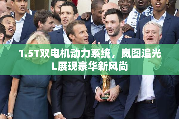 1.5T双电机动力系统，岚图追光L展现豪华新风尚
