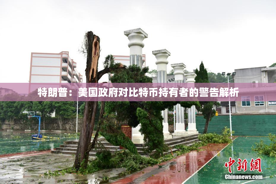 特朗普：美国政府对比特币持有者的警告解析