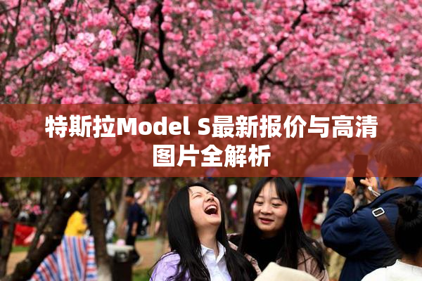 特斯拉Model S最新报价与高清图片全解析