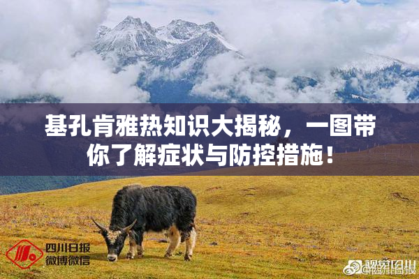 基孔肯雅热知识大揭秘，一图带你了解症状与防控措施！