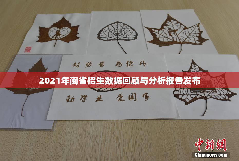 2021年闽省招生数据回顾与分析报告发布