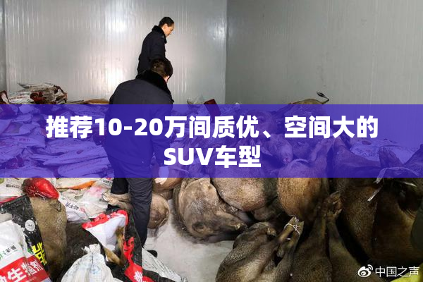 推荐10-20万间质优、空间大的SUV车型